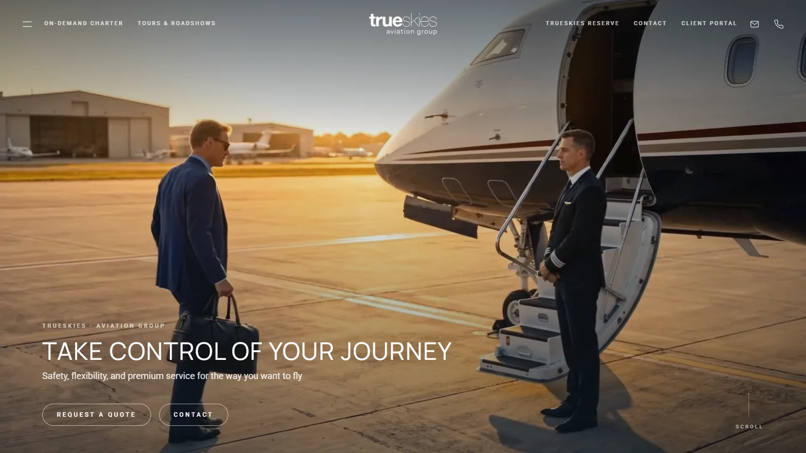TrueSkies website
